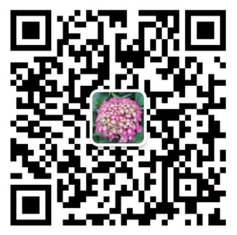 微信扫码